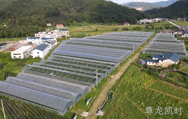 基地展示