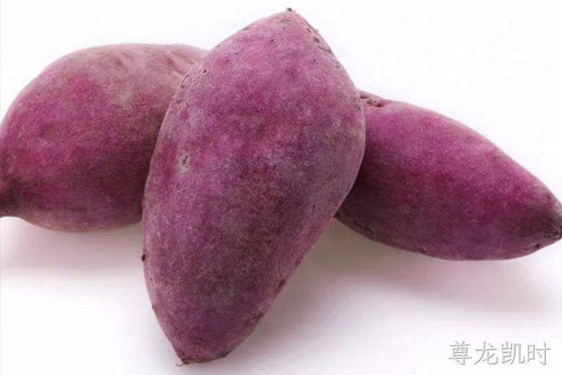高山紫心薯