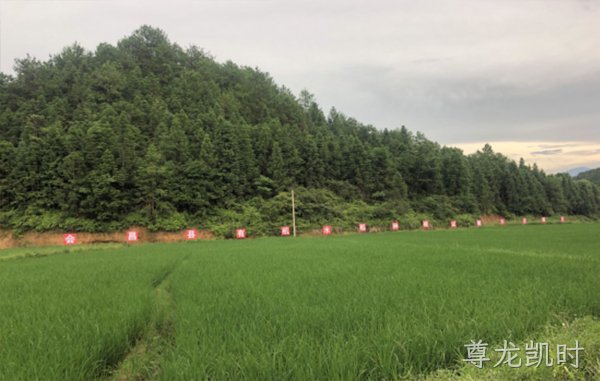基地展示