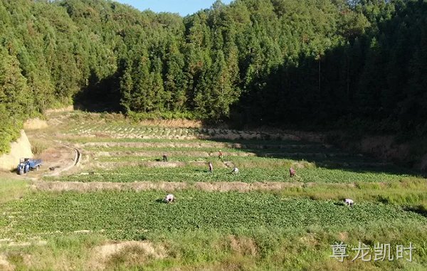 基地展示
