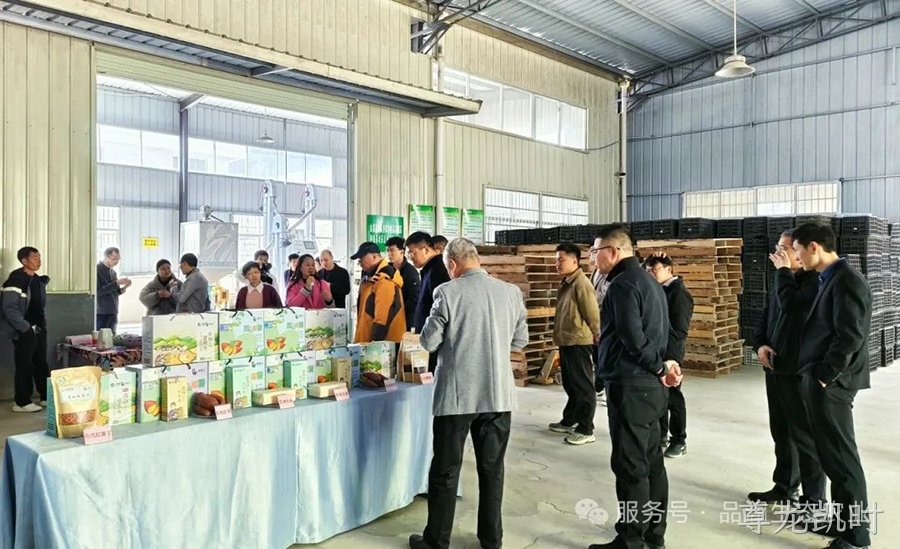 温铁军教授莅临尊龙凯时农业调研乡村振兴及农业产业发展