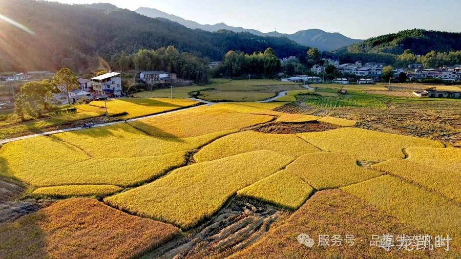 转载自—中国阜阳微信公众号：【追梦新阜阳·巾帼篇】熊桂秀：以生态农业书写乡村振兴的巾帼答卷
